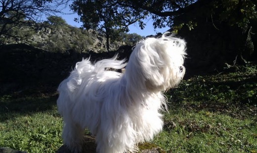 En el campo, con el pelo al viento....